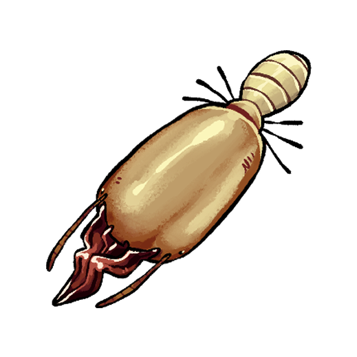 Diseño 25